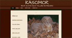 Desktop Screenshot of kasomor.com