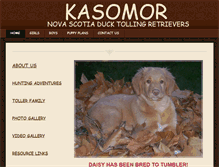 Tablet Screenshot of kasomor.com